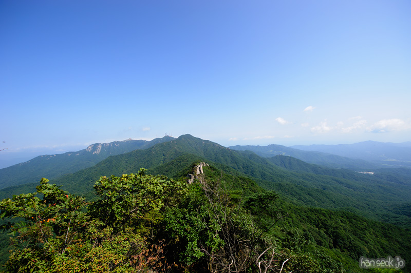 HSJ_1207.jpg