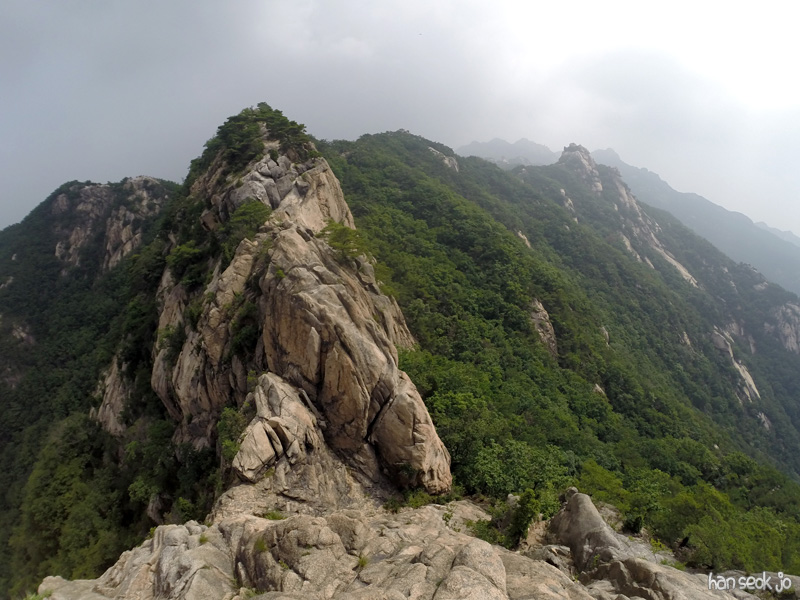 G0012097.jpg
