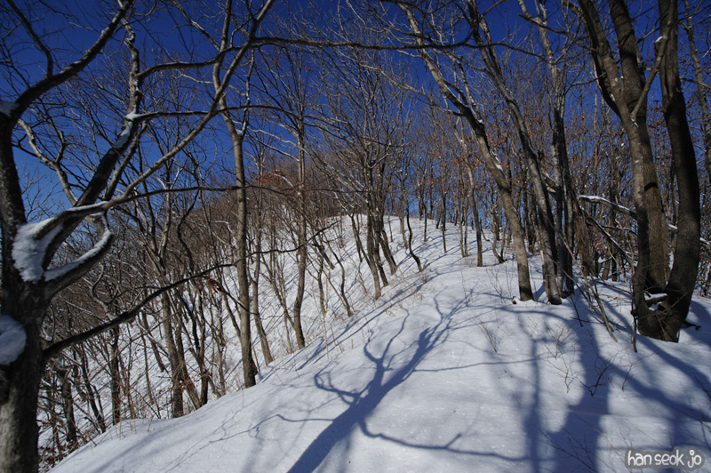 HSJ_7562.jpg