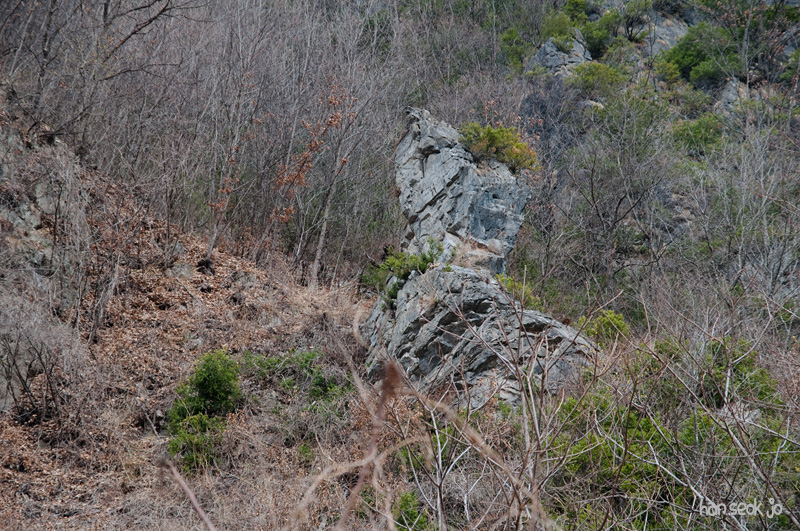 DSC_0447.jpg