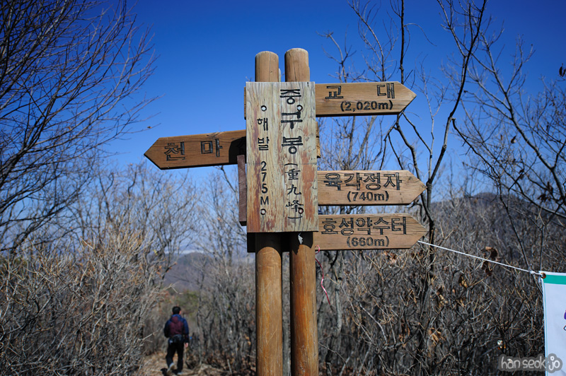 HSJ_8434.jpg