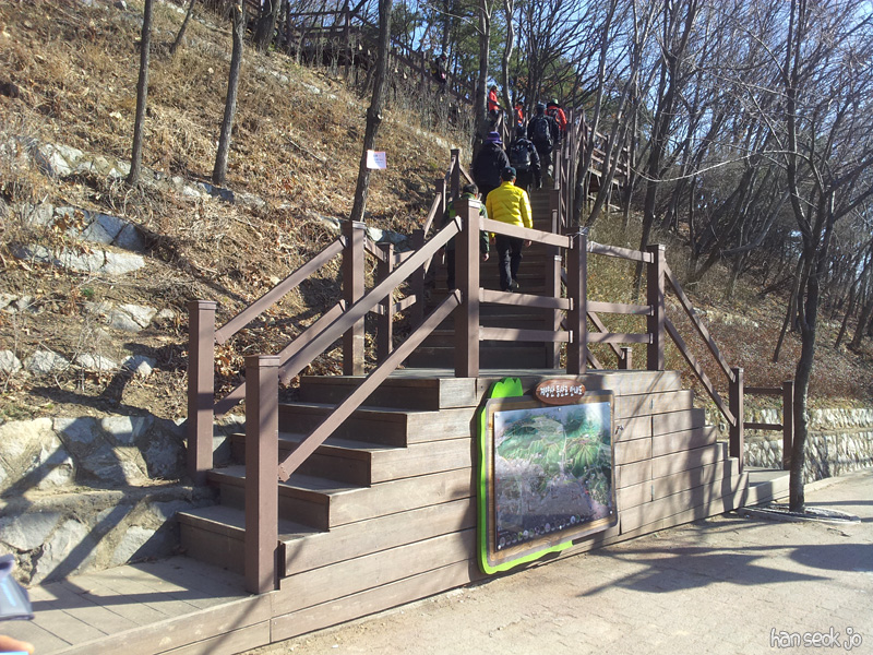 20130310_094433.jpg