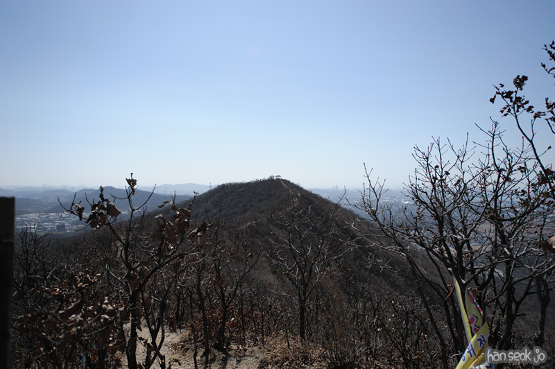 HSJ_8444.jpg