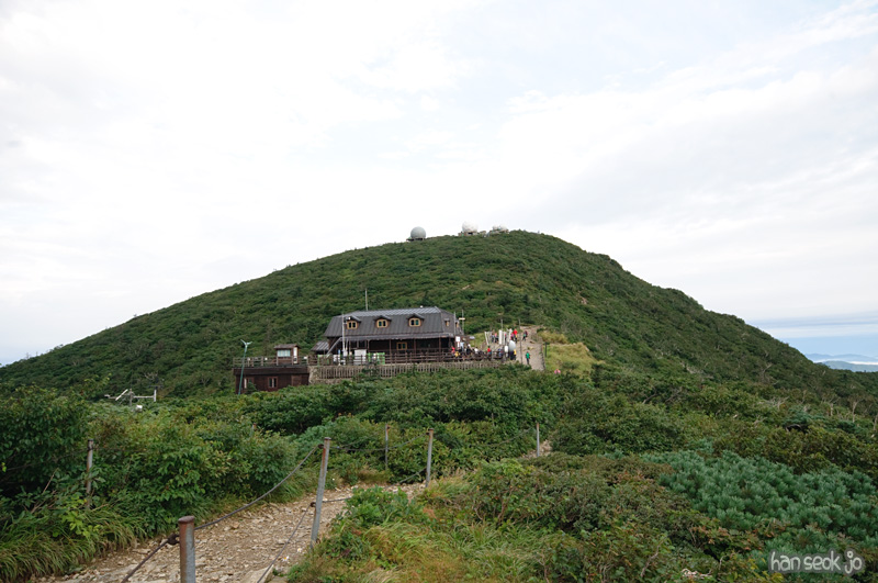 DSC_8126.jpg