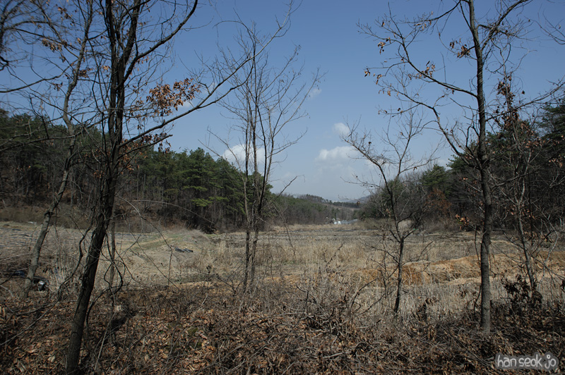 HSJ_8866.jpg