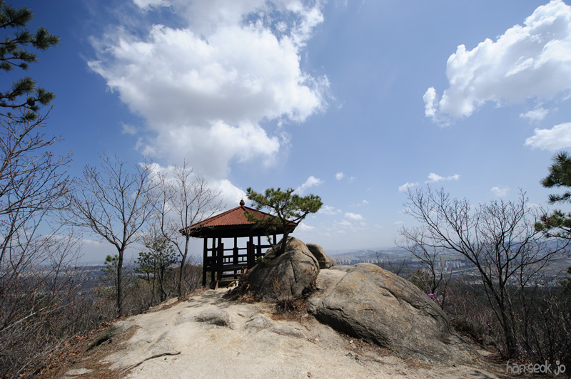 HSJ_8881.jpg