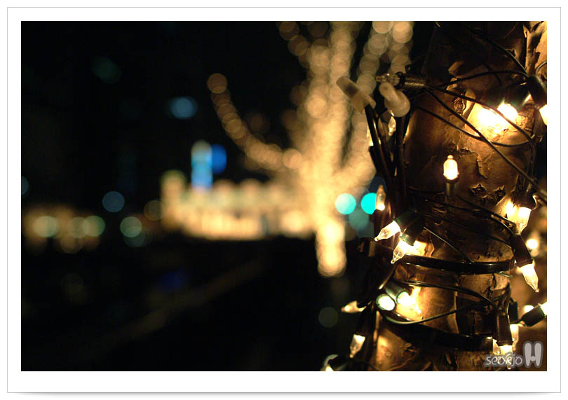 DSCF5480.jpg
