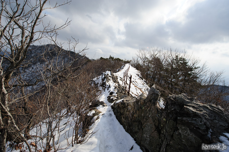 HSJ_7645.jpg