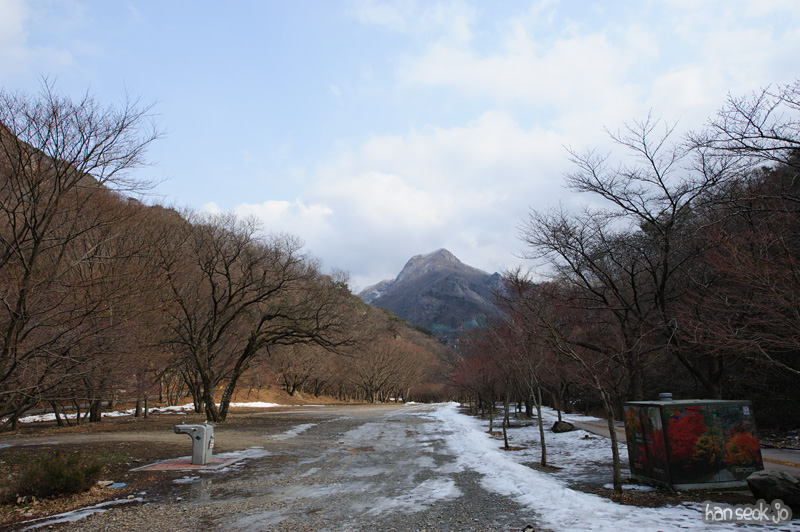 HSJ_7654.jpg