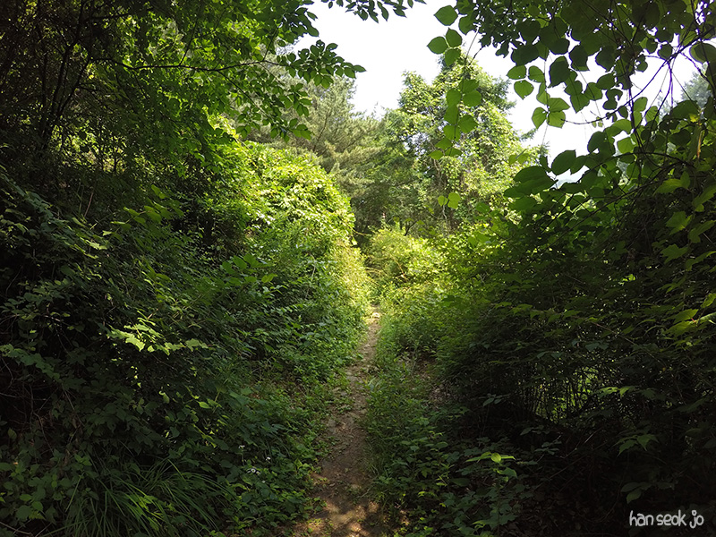 GOPR0652.jpg