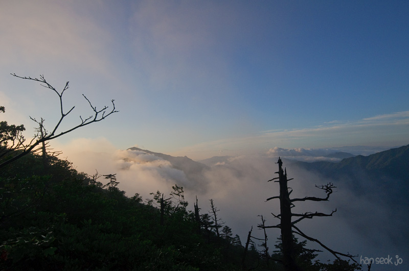 DSC_7870.jpg