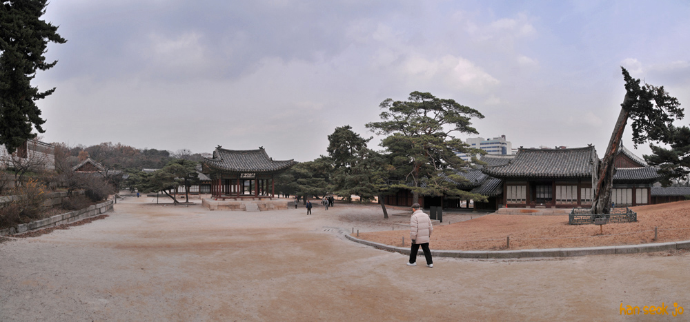 081126.jpg