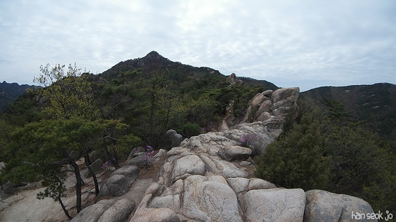 SAM_100_0542.jpg