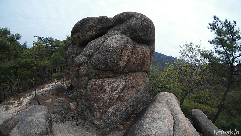 SAM_100_0538.jpg