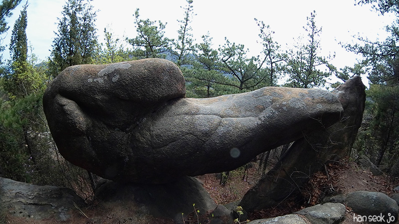 SAM_100_0535.jpg