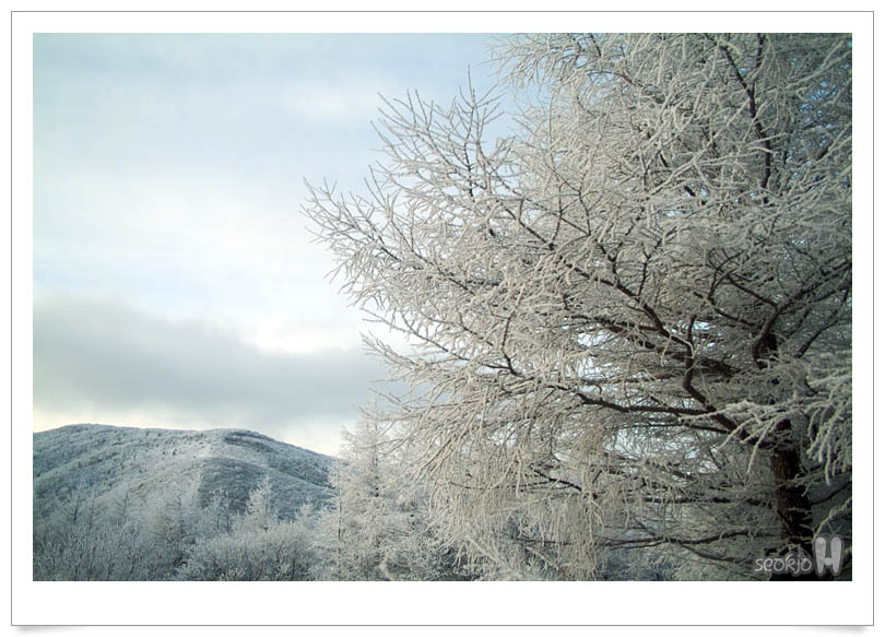 DSCF5673.jpg