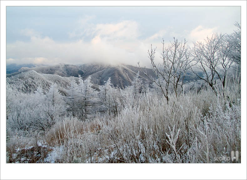 DSCF5669.jpg