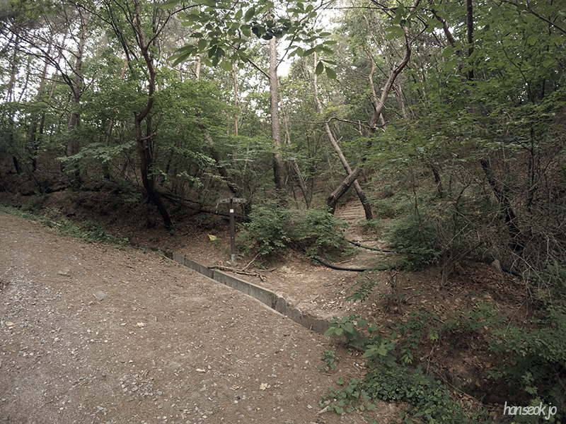 GOPR3597.jpg