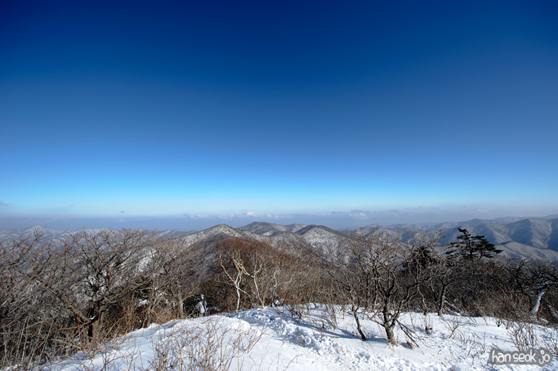 HSJ_1494.jpg