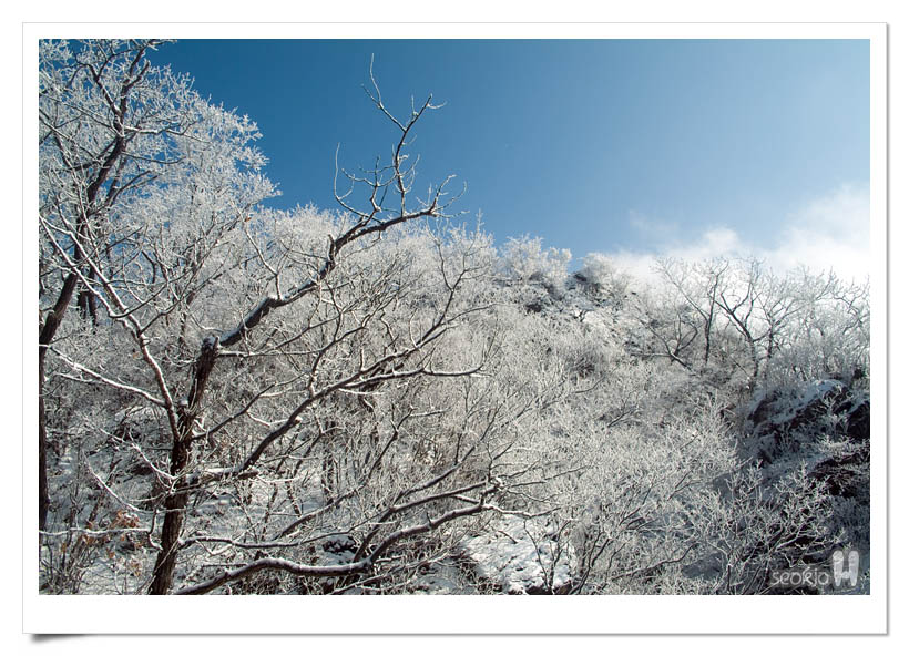 DSCF5783.jpg