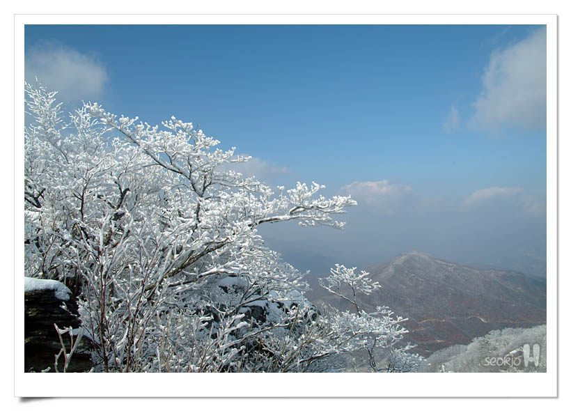 DSCF5809.jpg