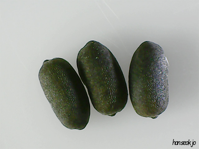 130019.jpg