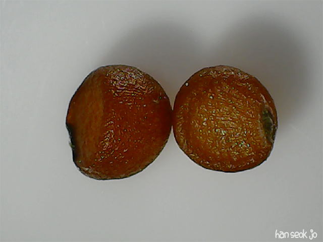 165959.jpg