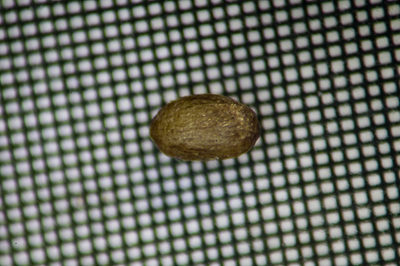 DSC_1280.jpg
