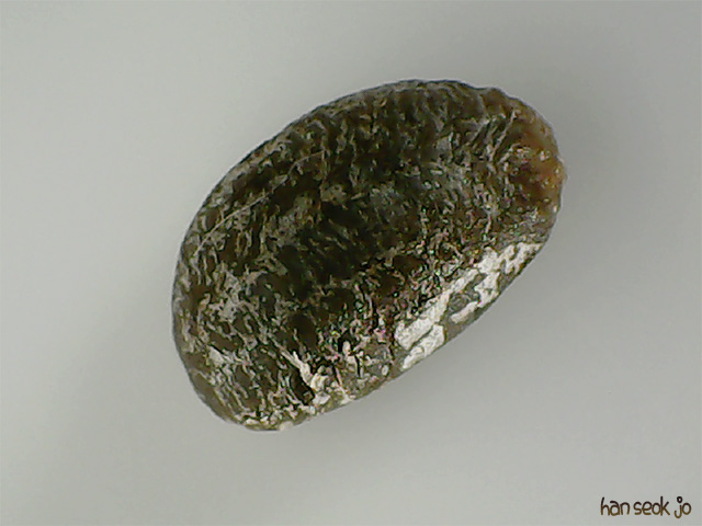 200106.jpg