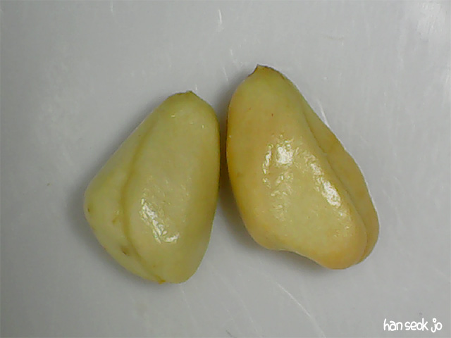 174056.jpg