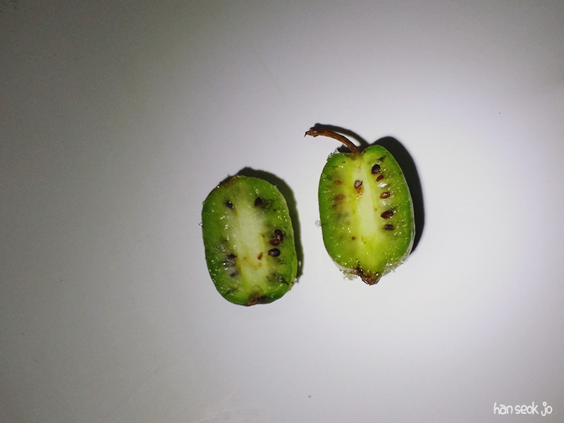 20170818_203625.jpg