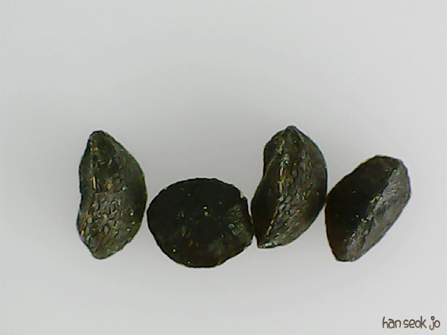 162012.jpg