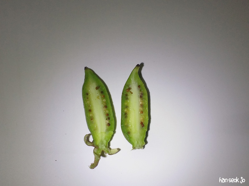 20170819_103702.jpg