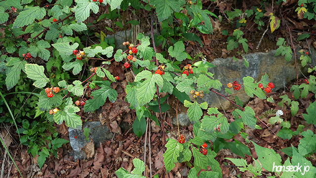 114657_001.jpg