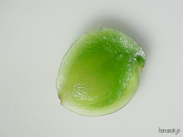 114054.jpg