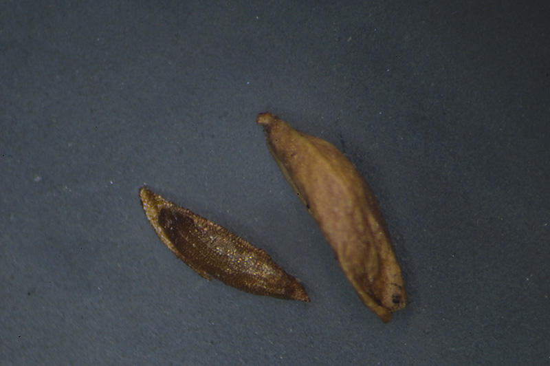 DSC_1069.jpg