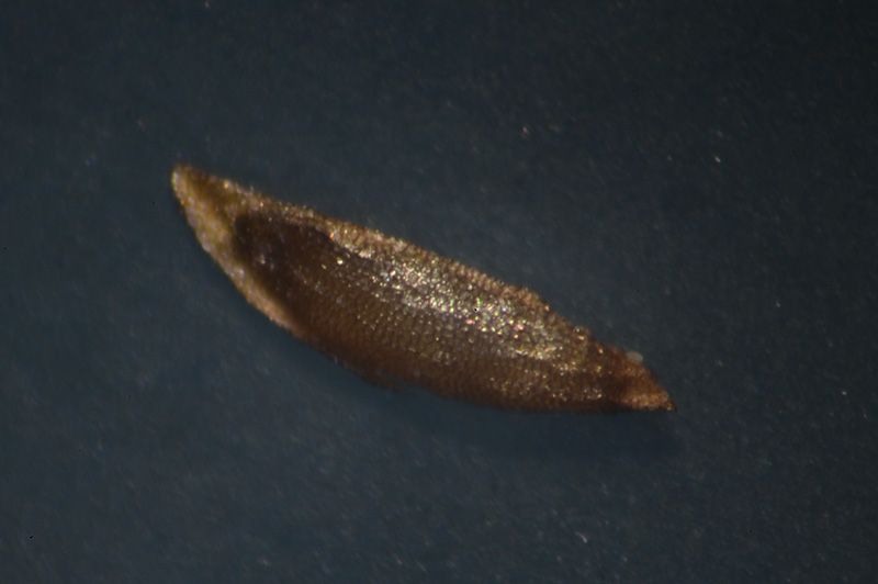 DSC_1068.jpg