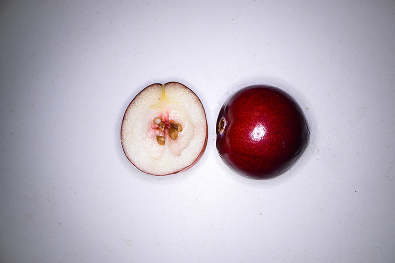 DSC_4731.jpg