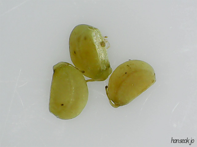 173110.jpg
