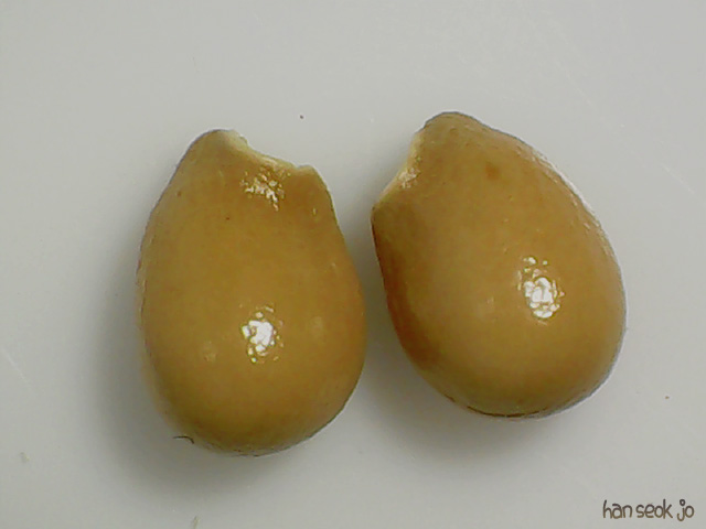 224014.jpg