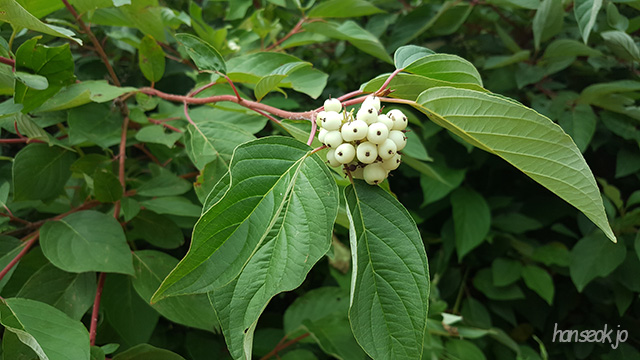 141620_001.jpg