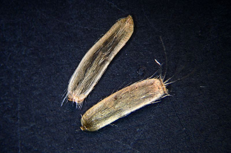 DSC_1226.jpg