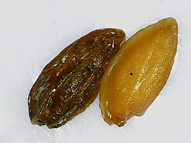 pencil_1536316653436.jpg