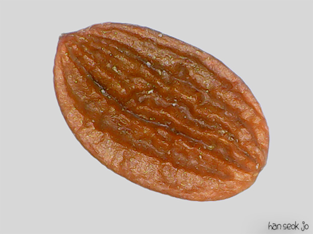 185725.jpg