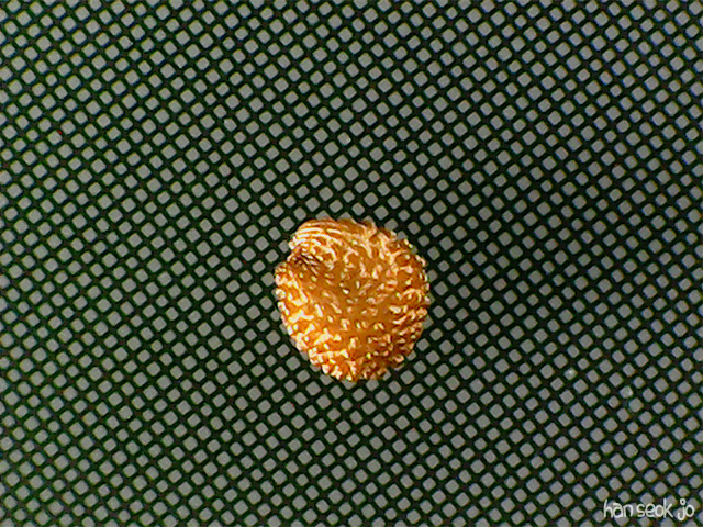 083043.jpg