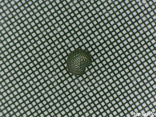 082127.jpg