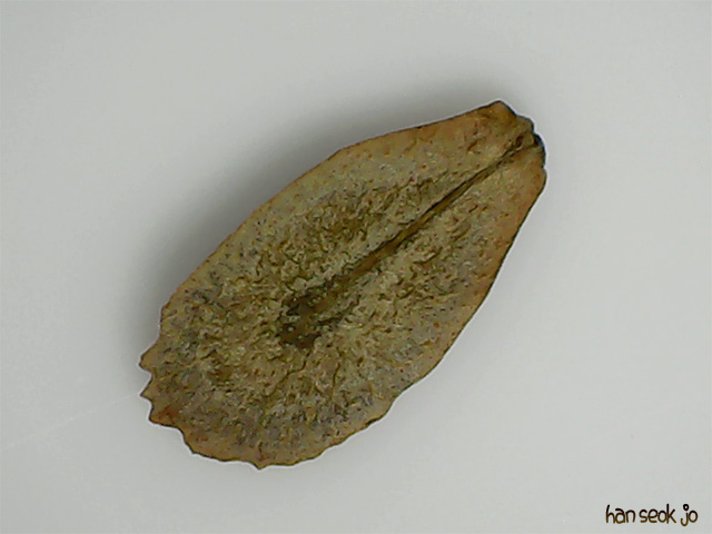 182856.jpg