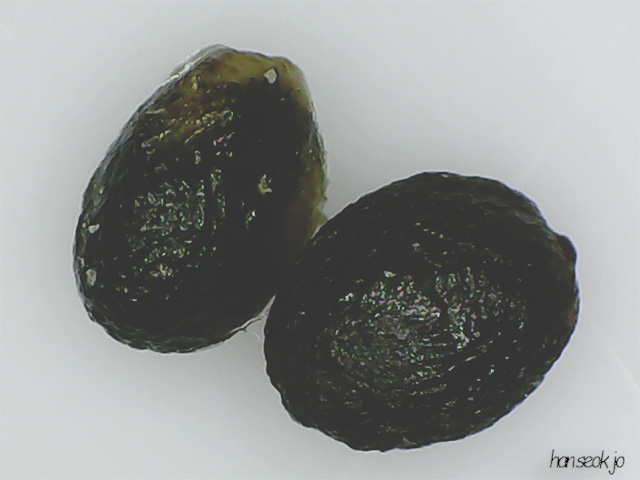 121912.jpg