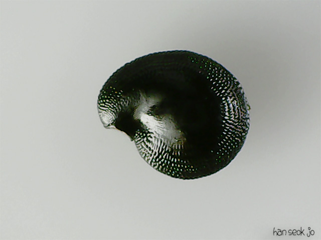 082540.jpg