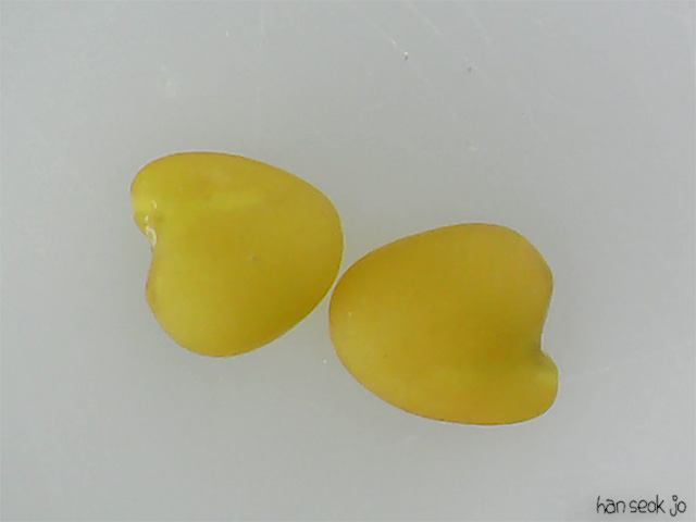 215147.jpg